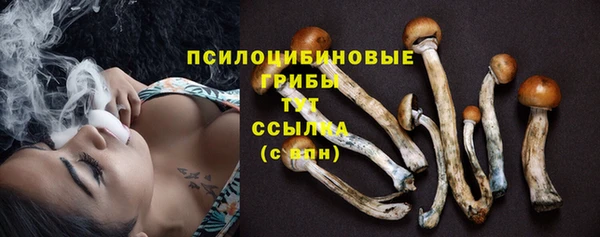 таблы Зерноград